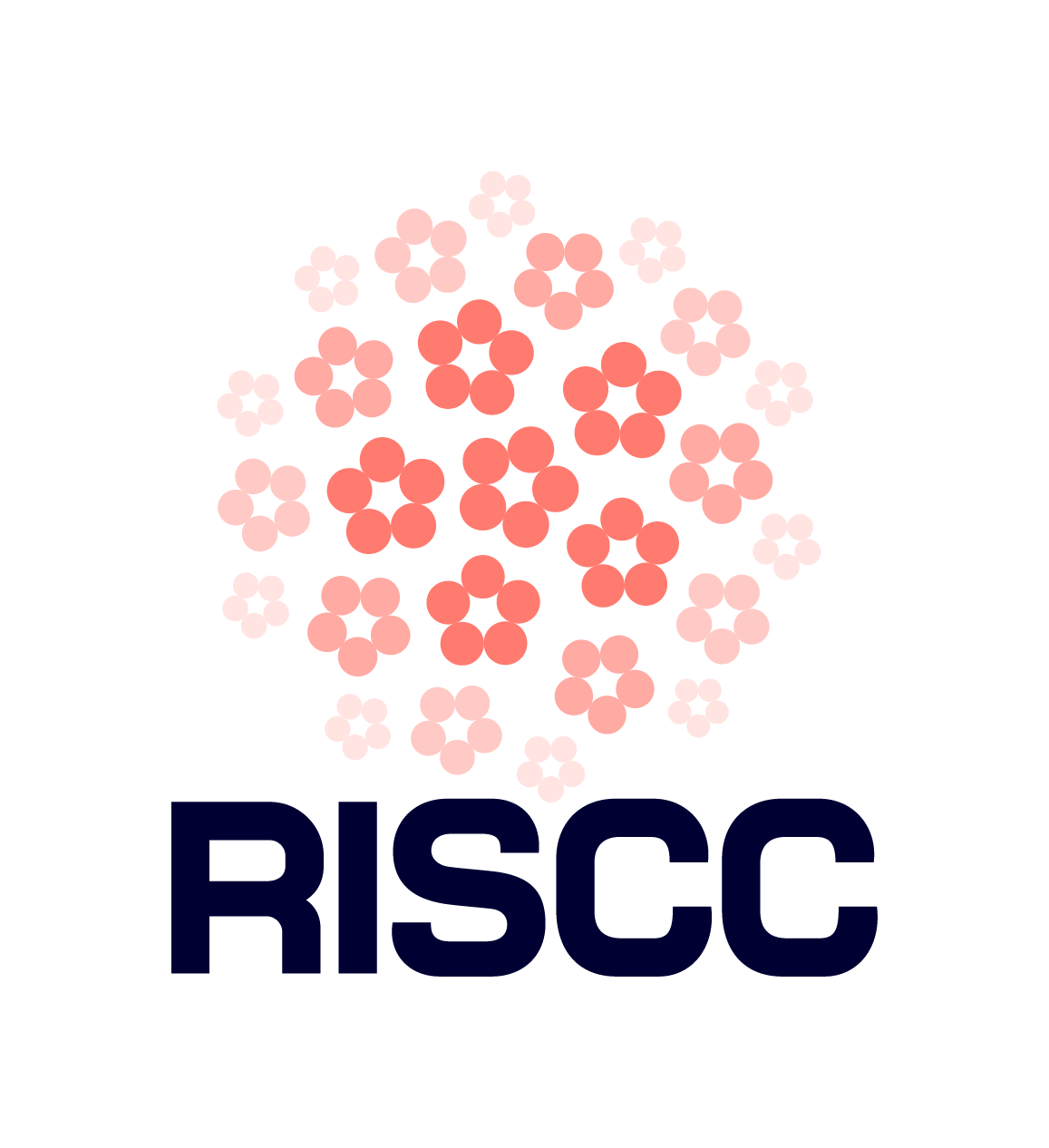 RISCC Icon